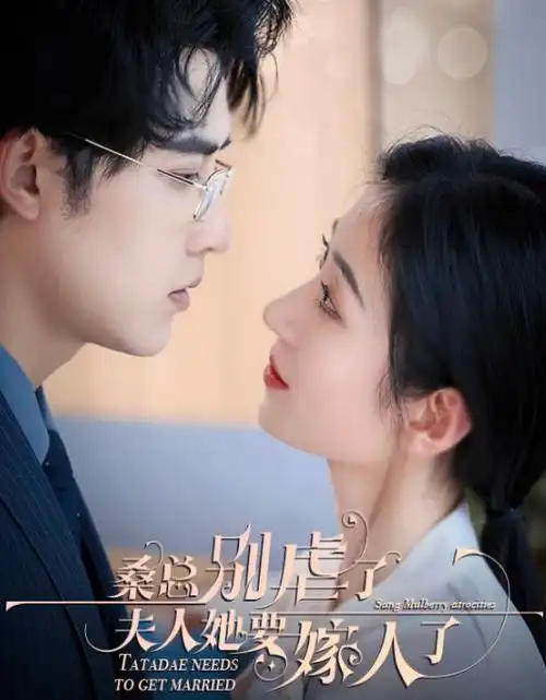 青春剧春潮渐起电视剧全集观看